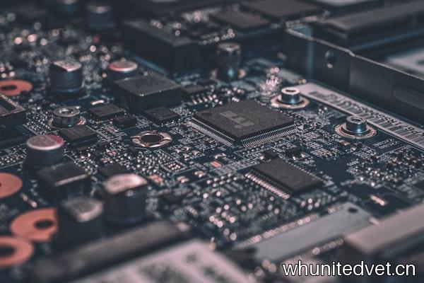 Neural Networks