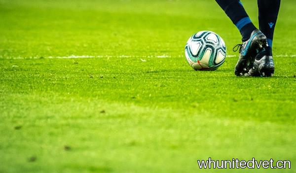 Match Analysis